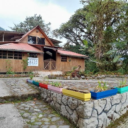 Mindo Loma Bird Lodge المظهر الخارجي الصورة